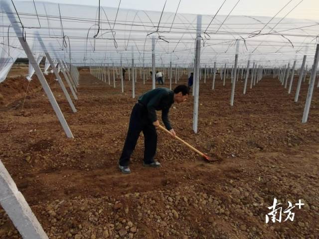 省科技特派员陈伟博士在兴宁叶南渔村果蔬(漉)菜产业园基地。