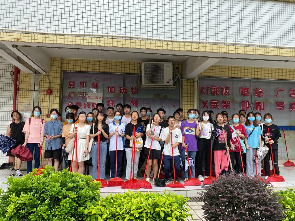 33D6B